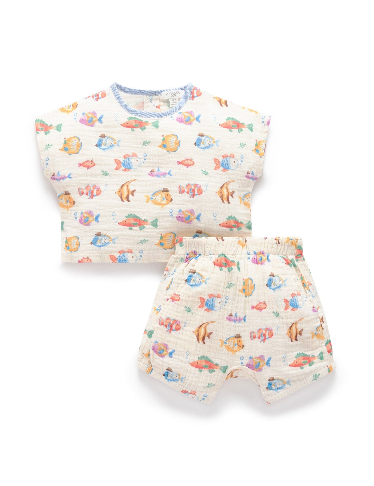 Fancy Fish Set