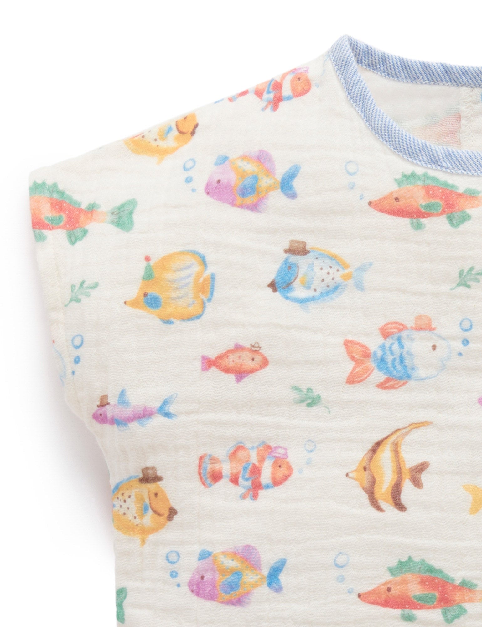 Fancy Fish Set