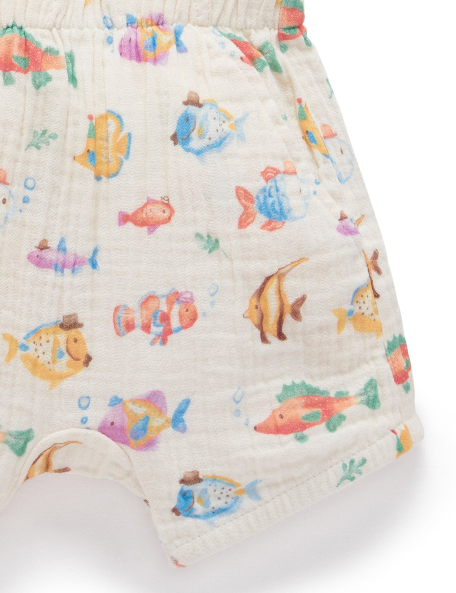 Fancy Fish Set